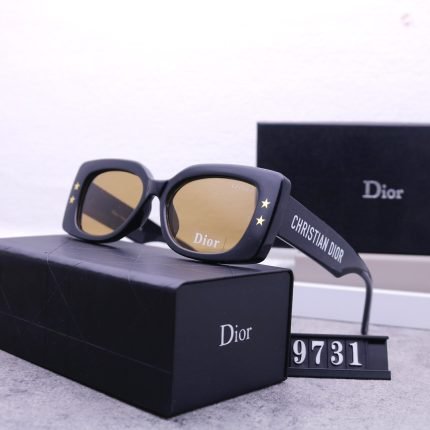 Dior Travel Sunglasses