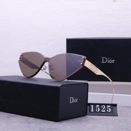Dior Travel Sunglasses