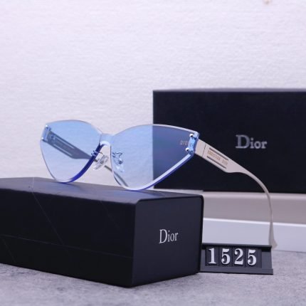 Dior Travel Sunglasses