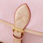 Louis Vuitton Diane Washed Pink 24Cm - Image 7