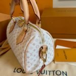 Louis Vuitton Speedy Bandoulière 20 Mastic Cream 20Cm M12747 - Image 6