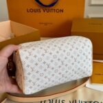 Louis Vuitton Speedy Bandoulière 20 Mastic Cream 20Cm M12747 - Image 5