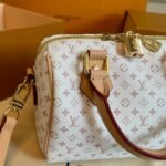 Louis Vuitton Speedy Bandoulière 20 Mastic Cream 20Cm M12747 - Image 3