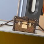 Louis Vuitton Petite Malle Monogram Reverse Brown 20Cm M45960 - Image 2