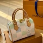 Louis Vuitton Speedy Bandoulière 20 Damier Canvas Pistachio 20Cm N40515 - Image 2