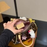 Louis Vuitton X Murakami Speedy Bandoulière 25 Cherry Blossom Sakura Brown 25cm M14174 - Image 4