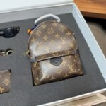 Gift set: Louis Vuitton Monogram Palm Springs Mini Backpack Brown 22Cm M44873