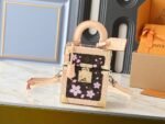 Louis Vuitton X Takashi Murakami Camera Box Bag Sakura Brown 17Cm M14173 - Image 2