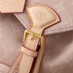 Louis Vuitton Montsouris PM Meowgram 30Cm M15135 - Image 6