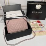 Chanel Medium Classic Flap Bag Silver Hardware Pink 25Cm - Image 5