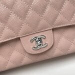 Chanel Medium Classic Flap Bag Silver Hardware Pink 25Cm - Image 9