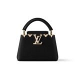 Louis Vuitton Capucines Mini Black 20Cm M11342