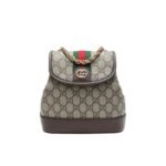 Gucci Ophidia Gg Mini Backpack Beige Ebony 22Cm 79522196Iwg_8745
