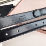 Celine Triomphe Belt Black - Image 5