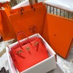 Hermes Birkin 25 Bag Togo Flame Orange 25cm - Image 2