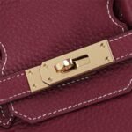 Hermes Birkin Togo Handbag Rouge 25cm - Image 3