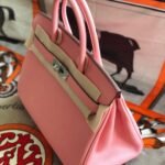 Hermes Birkin 25 Bag Epsom Rose Dete 25cm - Image 5