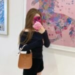 Hermes Mini Evelyne Bag Dark Brown 17cm - Image 6