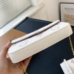 Louis Vuitton Pochette Félicie Bag In Latte And Bubble Tea 22cm - Image 5