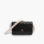 Chanel WOC Timeless Lambskin Black 20cm
