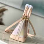 Louis Vuitton Alma Damier Giant BB 23.5cm N40516 - Image 7