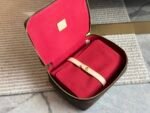 Louis Vuitton Lv Nice Jewelry Case Brown 23Cm - Image 7