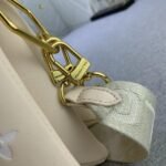 Louis Vuitton Coussin PM Beige Cream 26cm M22398 - Image 4