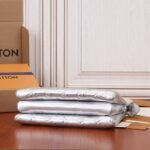 Louis Vuitton Coussin PM 26cm Silver - Image 3