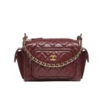 Chanel Small Camera Case Burgundy 25Cm As5220 B18234 Nzv44