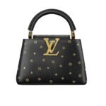 Louis Vuitton Capucines Mini Black 20Cm
