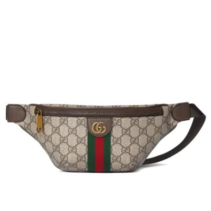 Gucci Ophidia Small Belt Bag Beige And Dark Brown 30Cm ‎‎839106 Faeof 9745